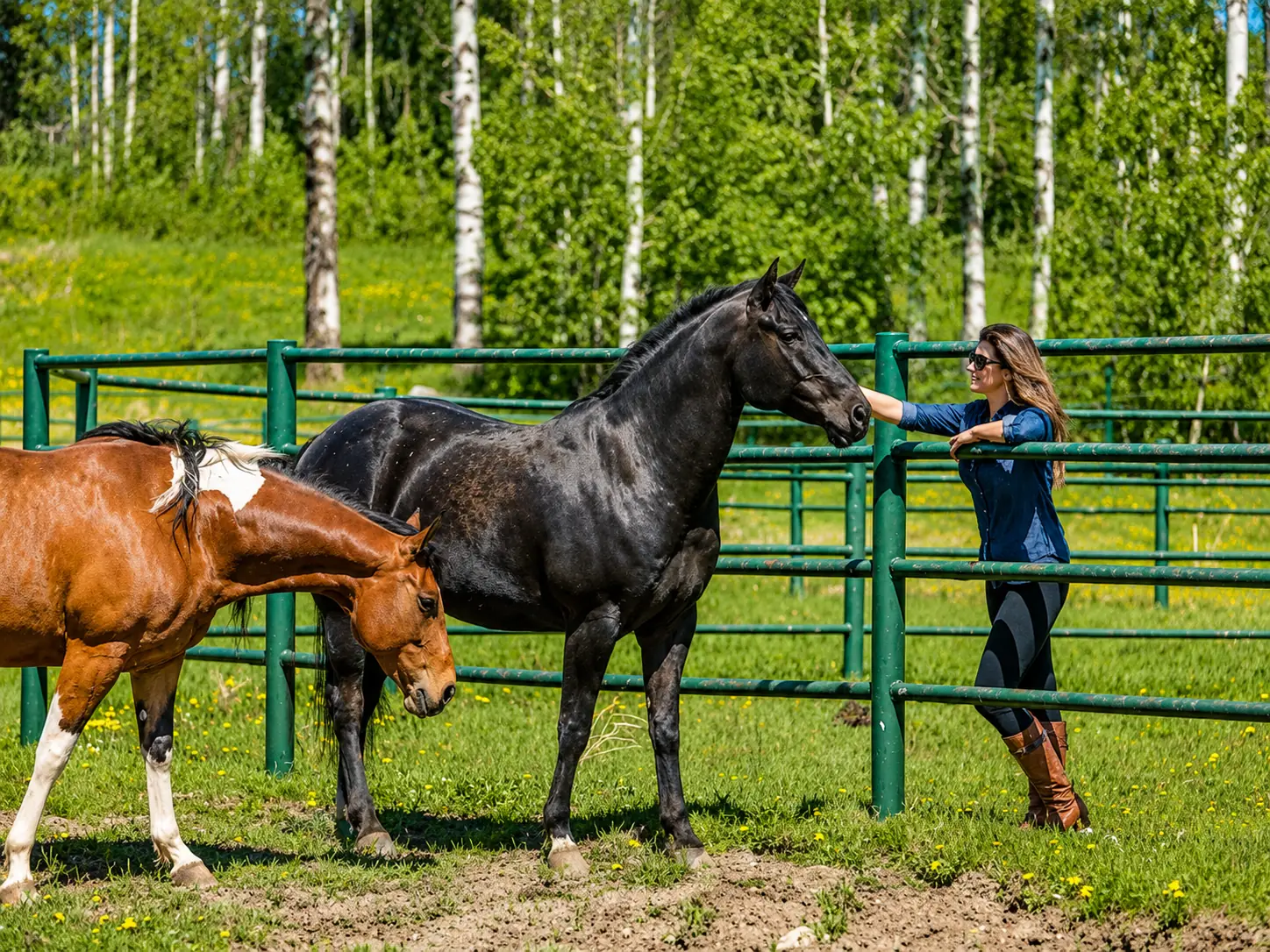 Brenna Burns with horses in the Peace Region