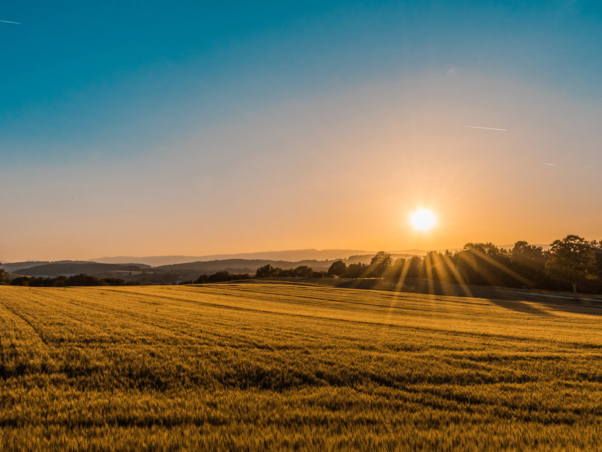 Ranch and agricultural property category preview