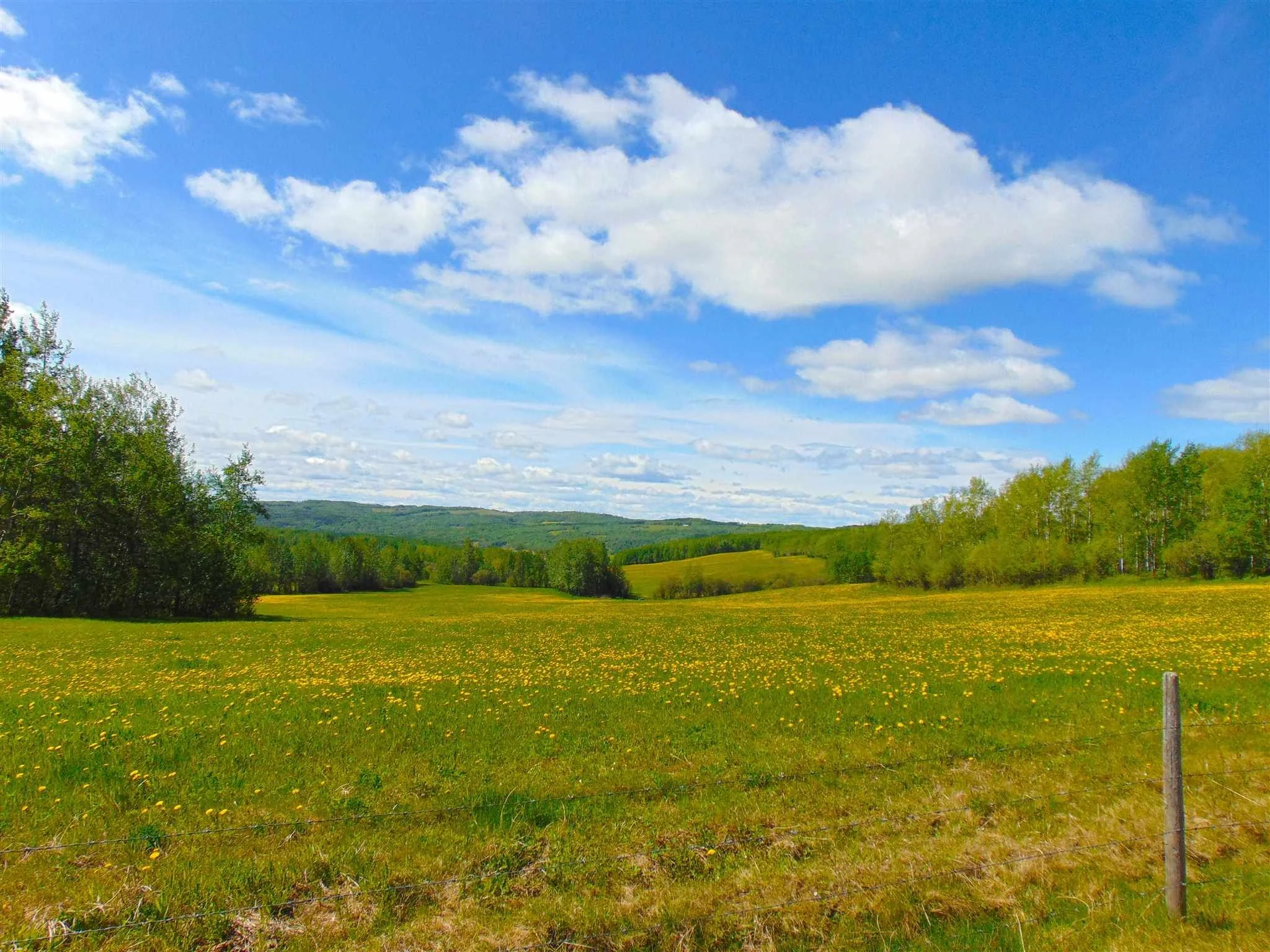 13934 Packham Frontage Road property photograph 13