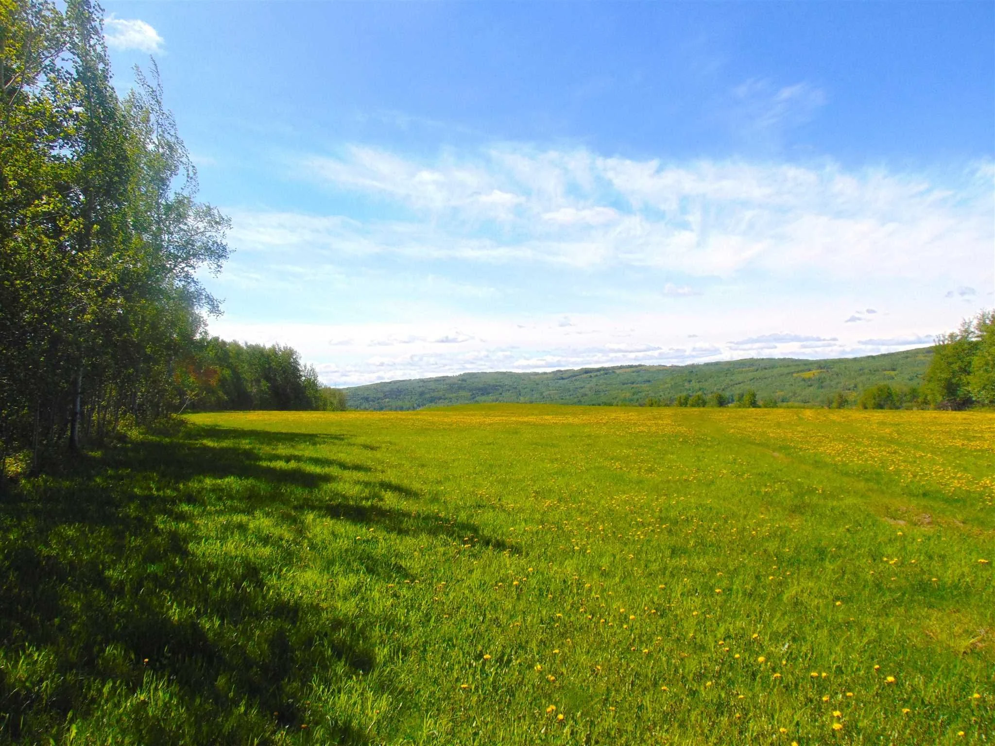 13934 Packham Frontage Road property photograph 15