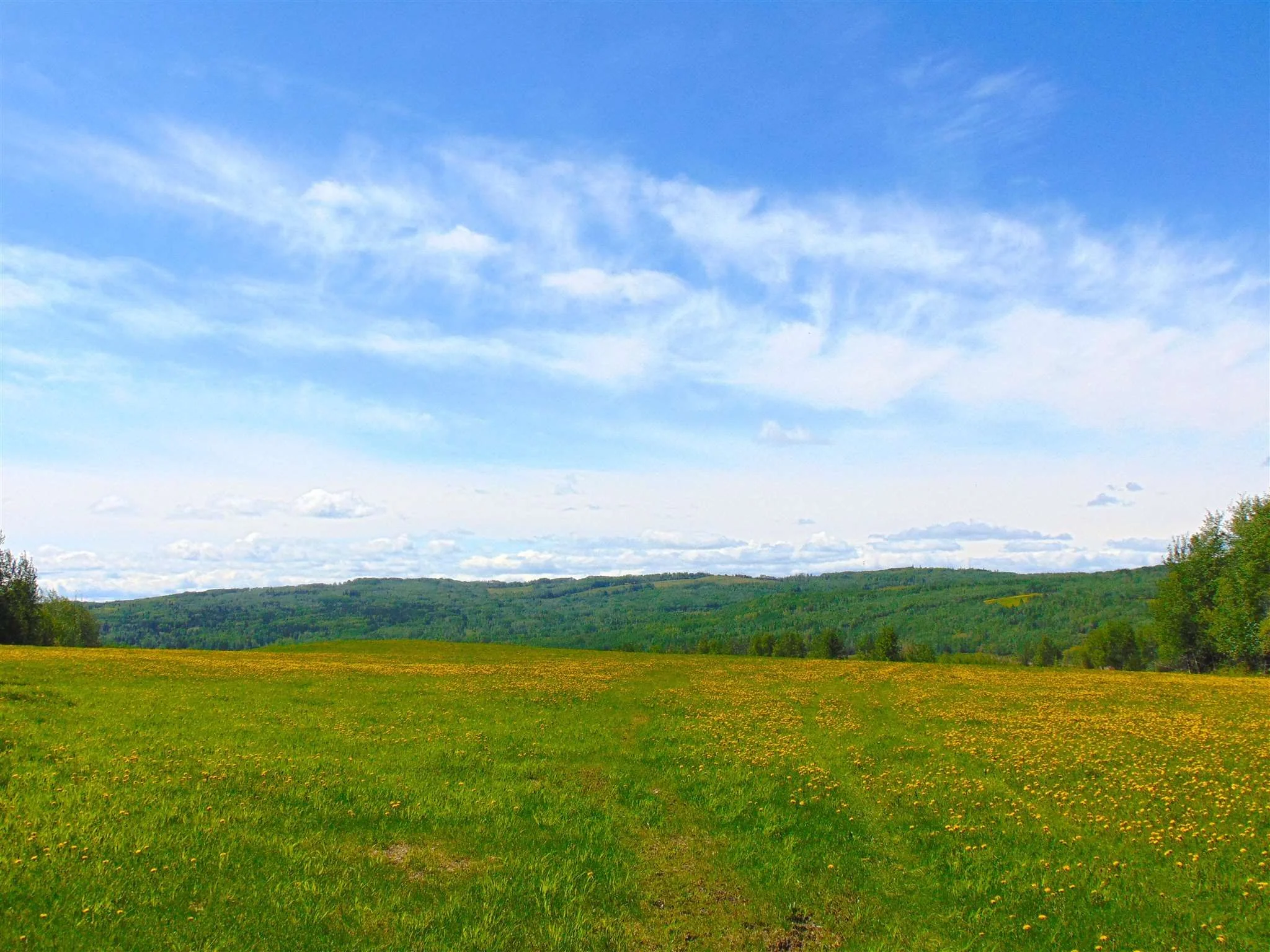 13934 Packham Frontage Road property photograph 16