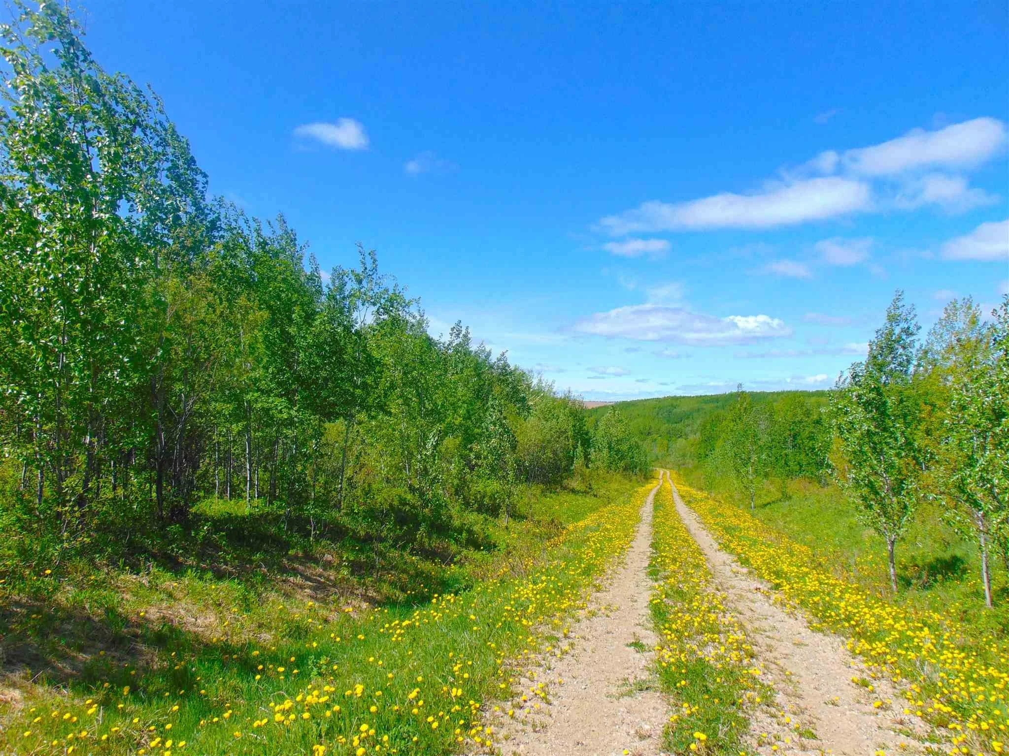 13934 Packham Frontage Road property photograph 17
