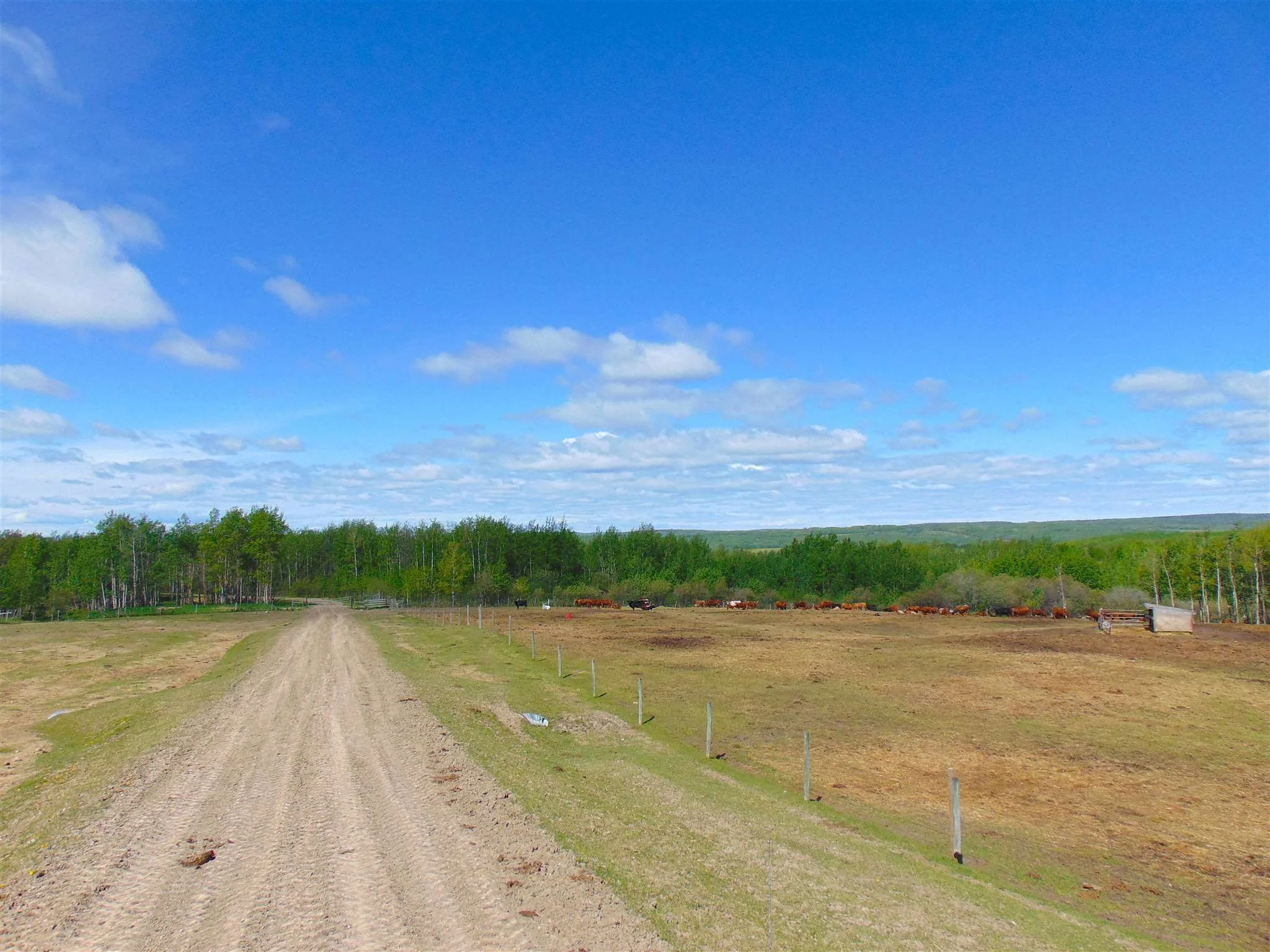 13934 Packham Frontage Road property photograph 27