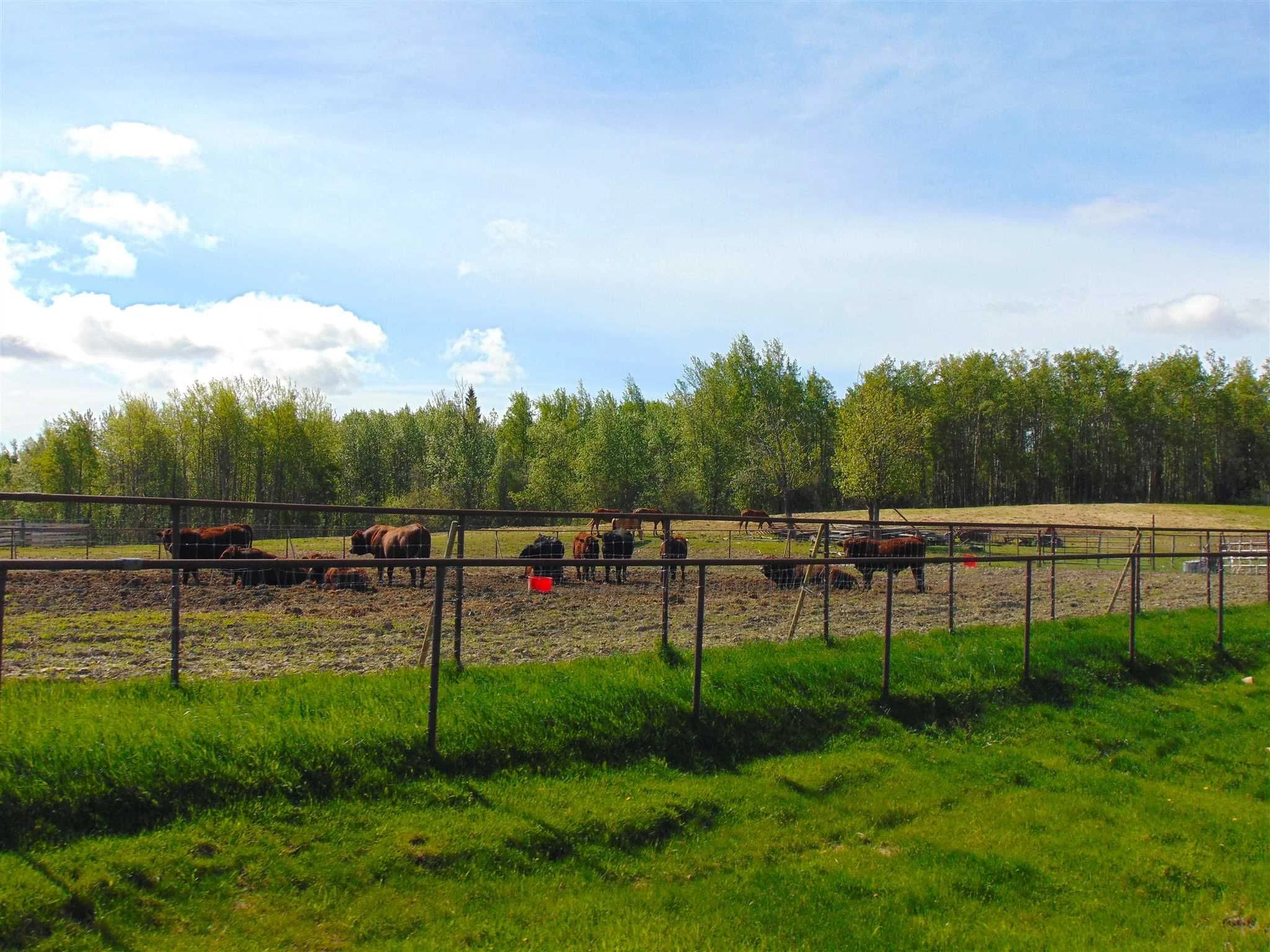 13934 Packham Frontage Road property photograph 28