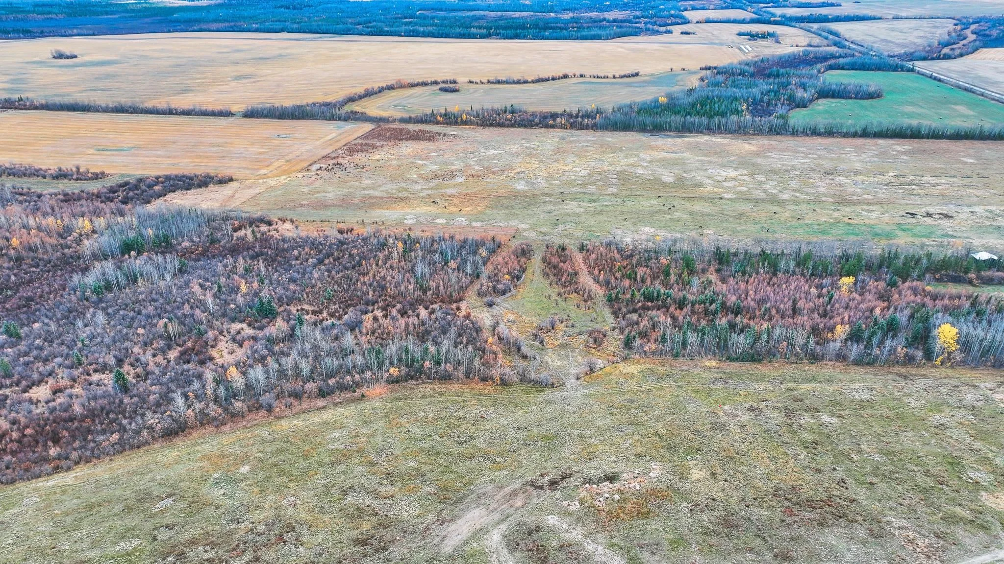 Sec 16 N 193 Road property photograph 8