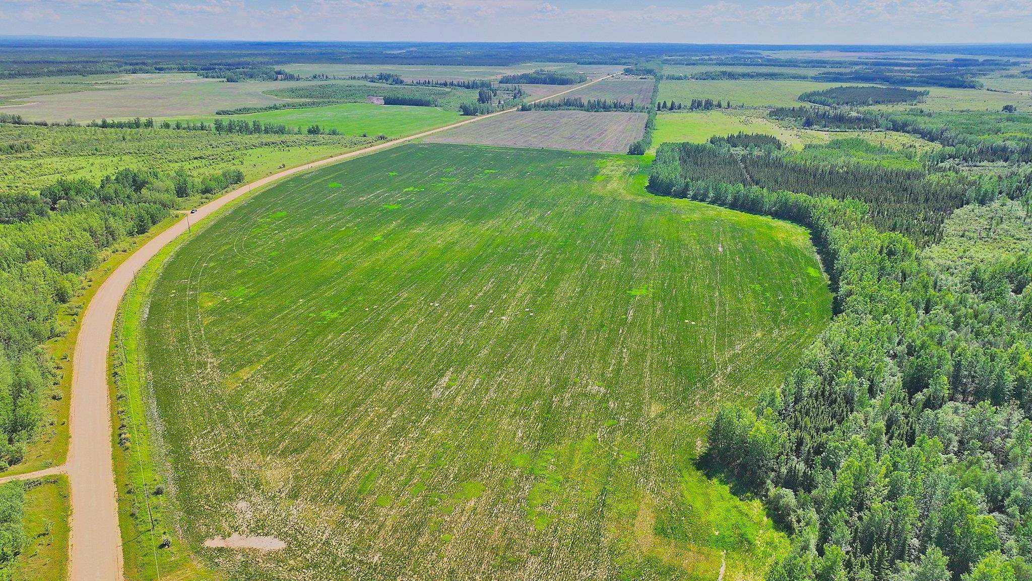 Aerial view of Buffalo Ranch pasture beside a gravel road