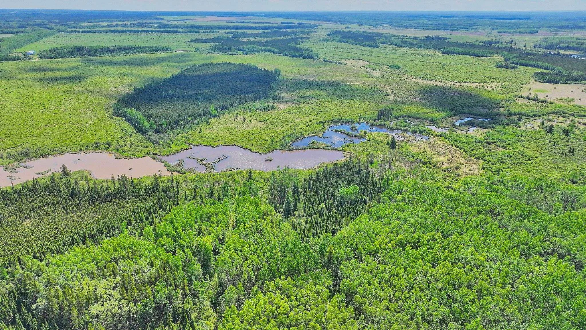Aerial view of wooded land and dugouts at Buffalo Ranch