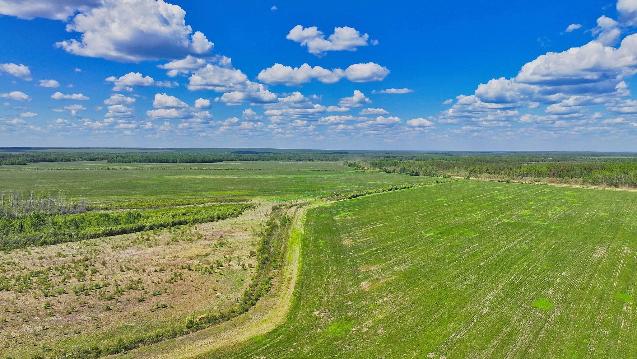 Wide aerial view of cleared Buffalo Ranch pasture