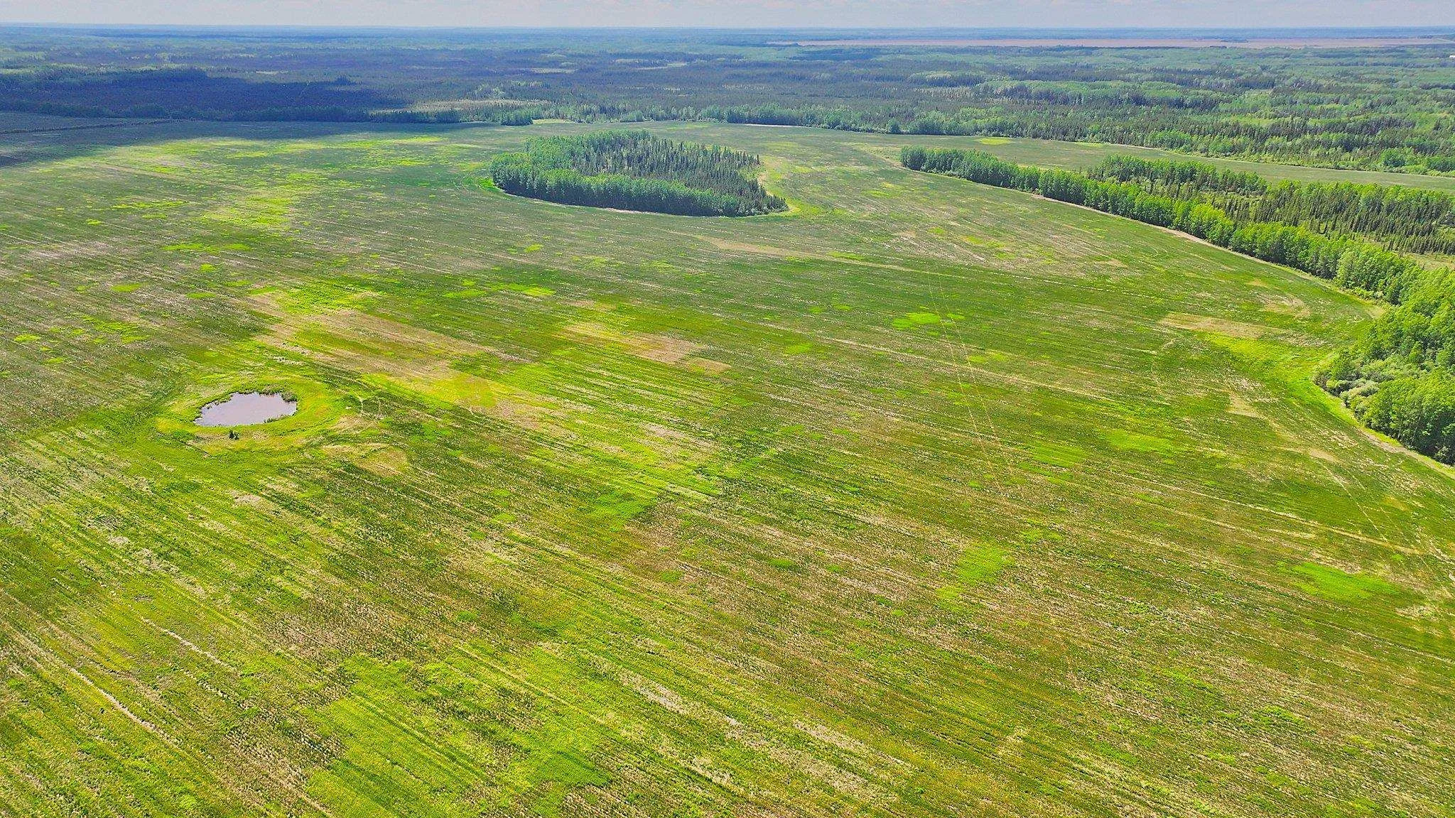 Aerial view of Buffalo Ranch pasture and a dugout