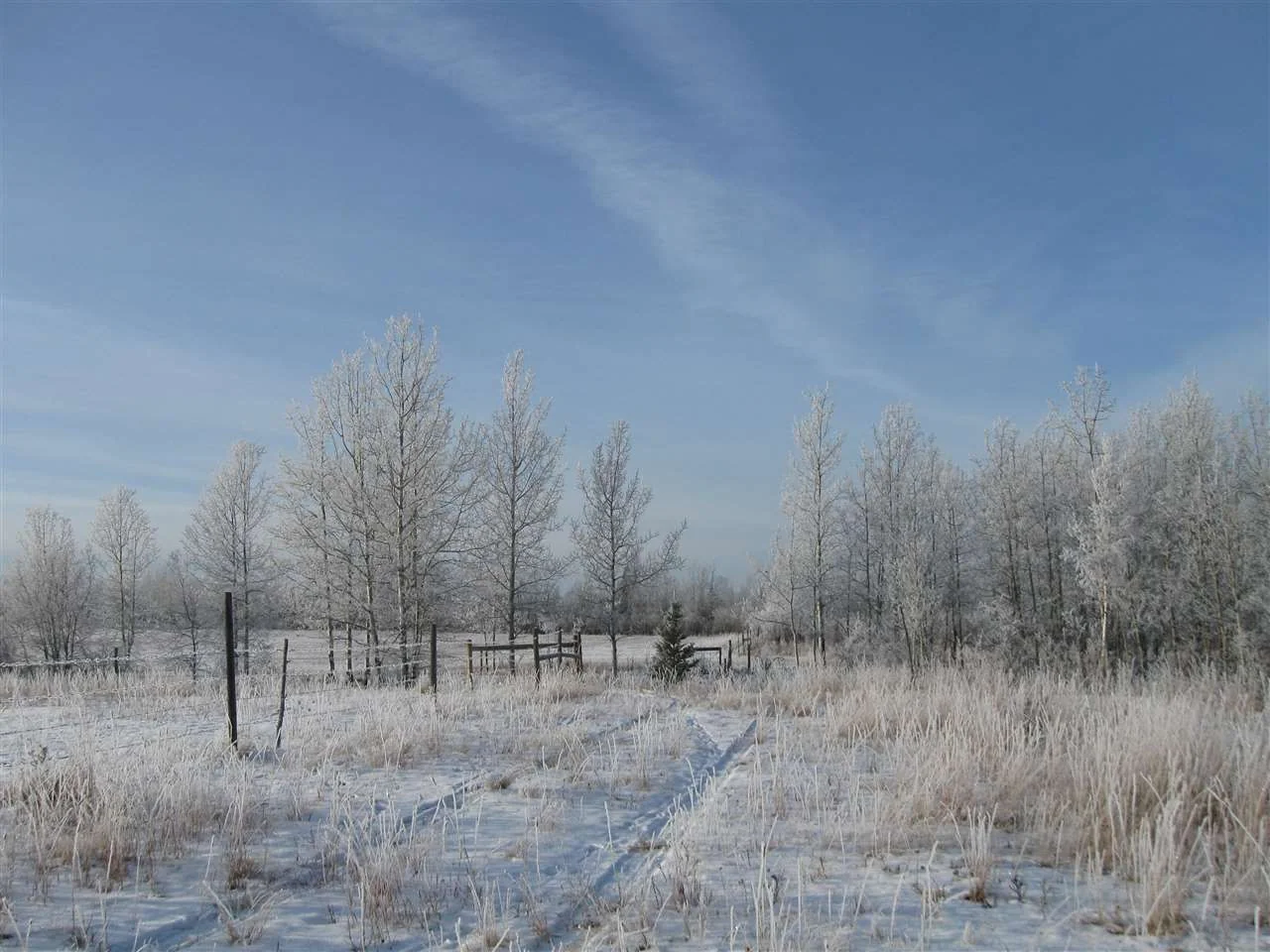 18944 Berreshiem Road property photograph 18