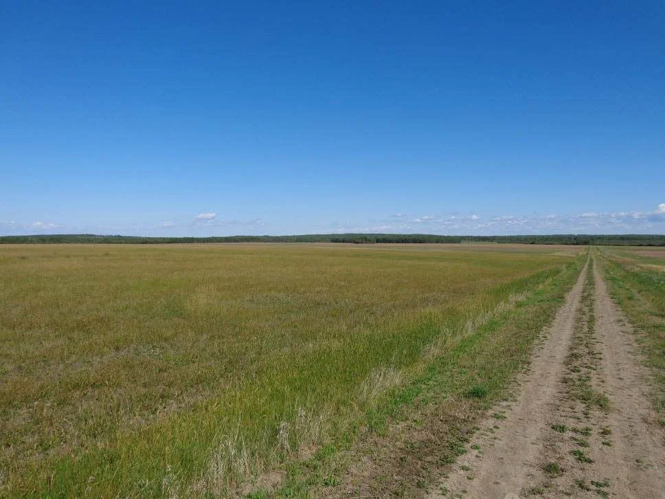 17848 Prespatou Road property photograph 15