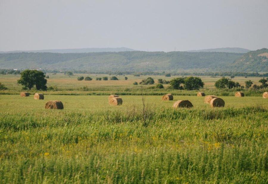 Round hay bales across a green field with wooded hills in the distance.