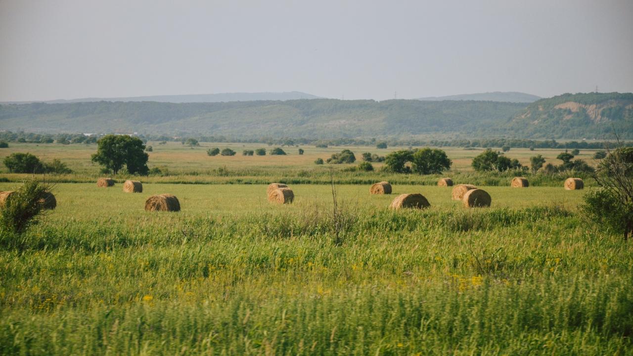 A rider overlooking open ranchland