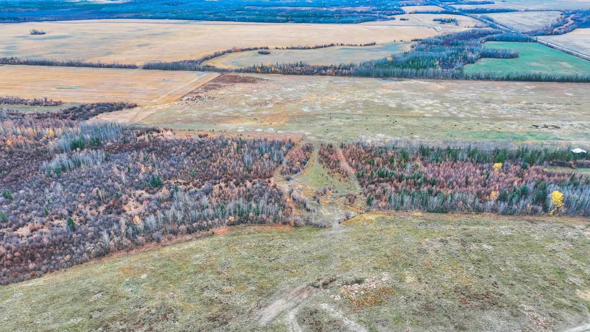 Sec 16 N 193 Road property photograph 8
