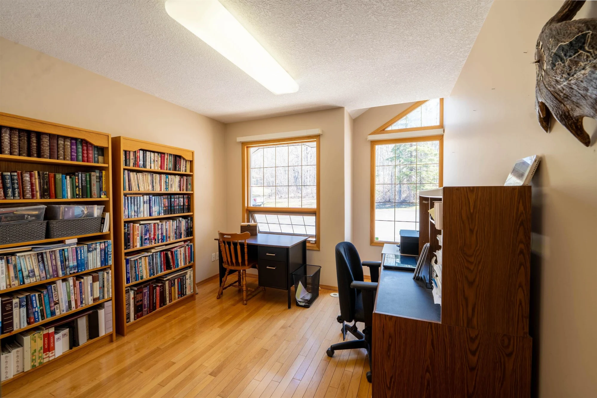 13499 Sunnyside Cove property photograph 17