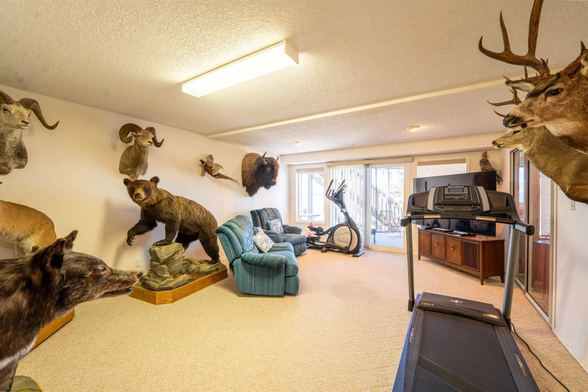 13499 Sunnyside Cove property photograph 19