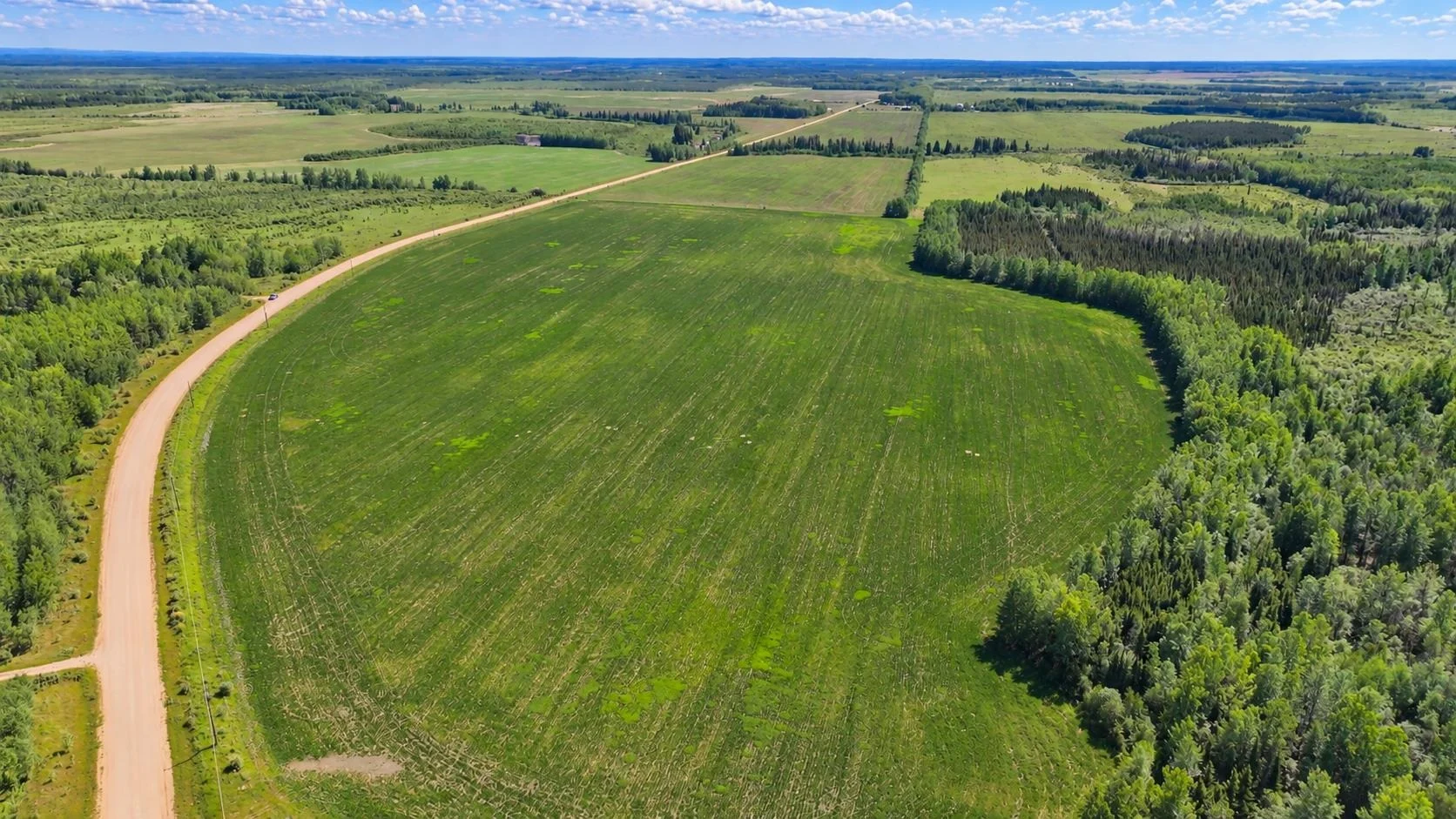 Aerial view of Buffalo Ranch pasture beside a gravel road