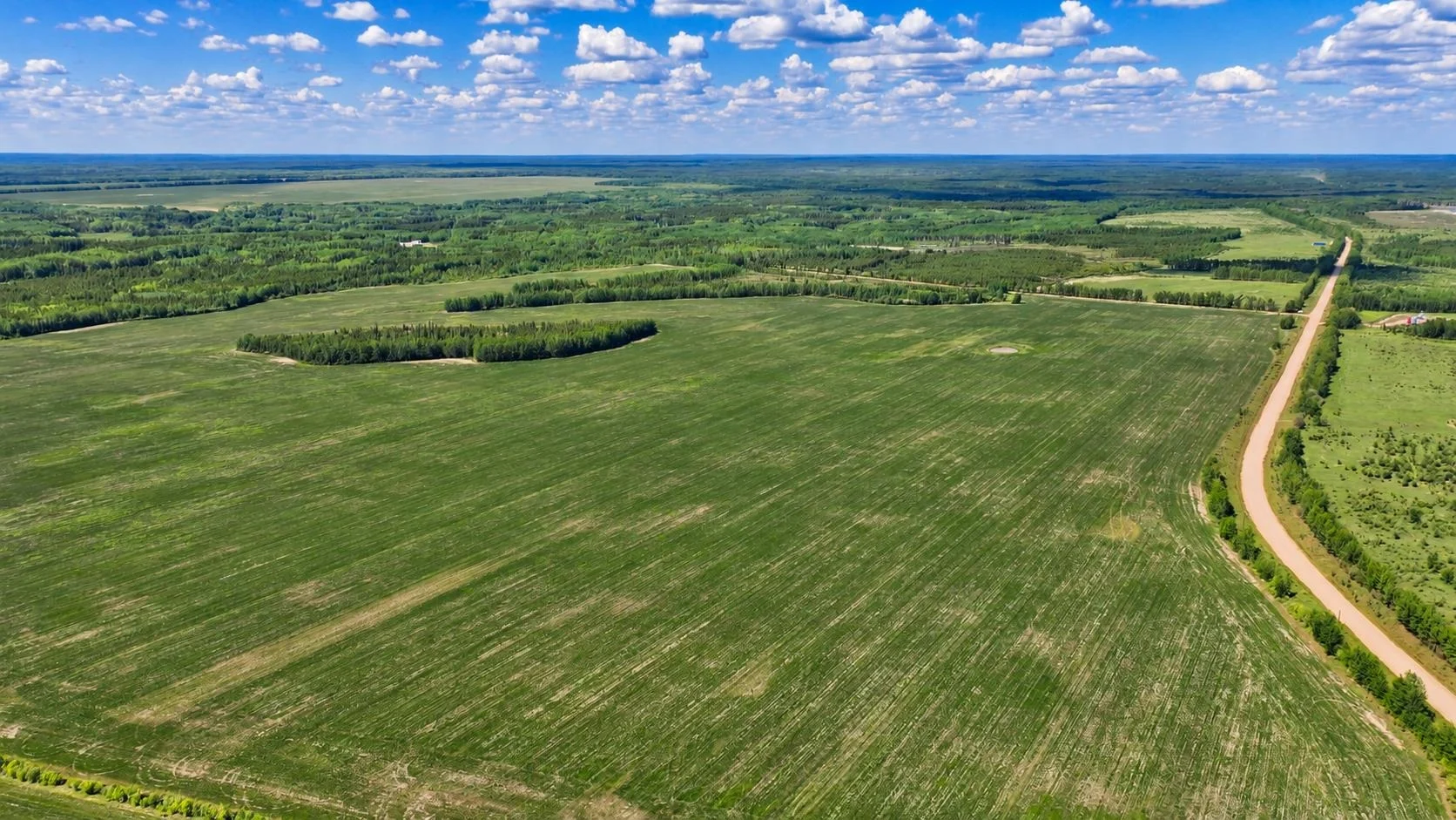 Aerial view of wooded land and dugouts at Buffalo Ranch