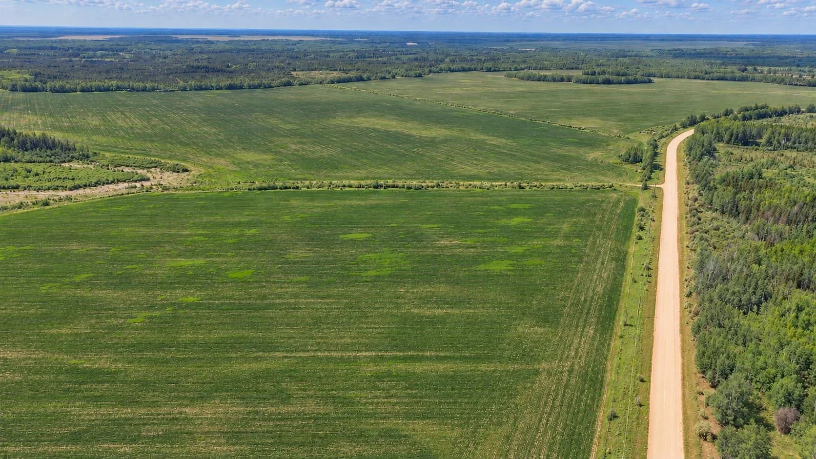 Wide aerial view of cleared Buffalo Ranch pasture