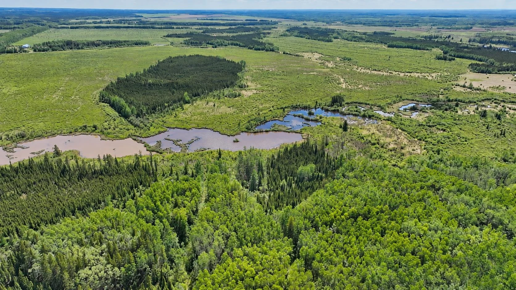Aerial view of Buffalo Ranch pasture and a dugout