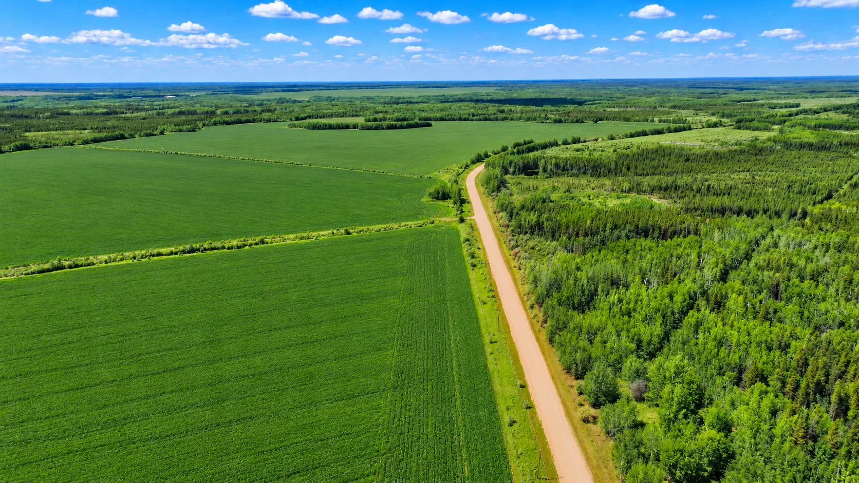 Buffalo Ranch property perspective