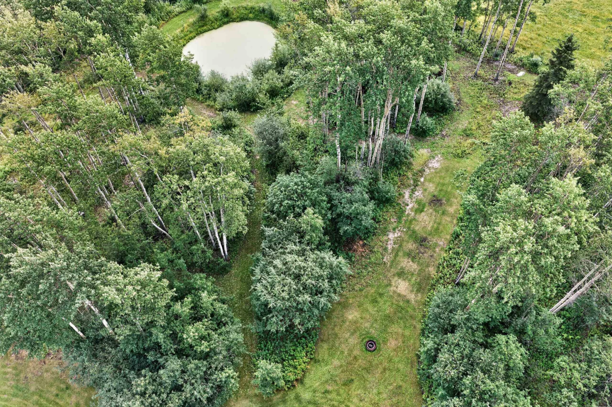13603 Wolsey Subdiv property photograph 28