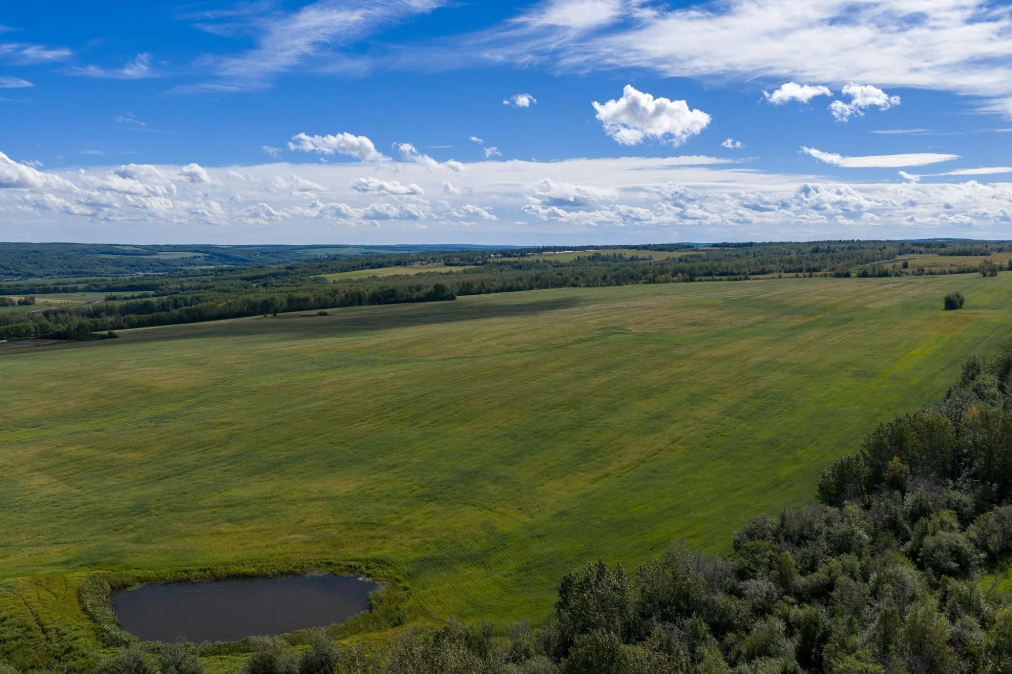 NE 1/4-SEC 5 285 Road property perspective