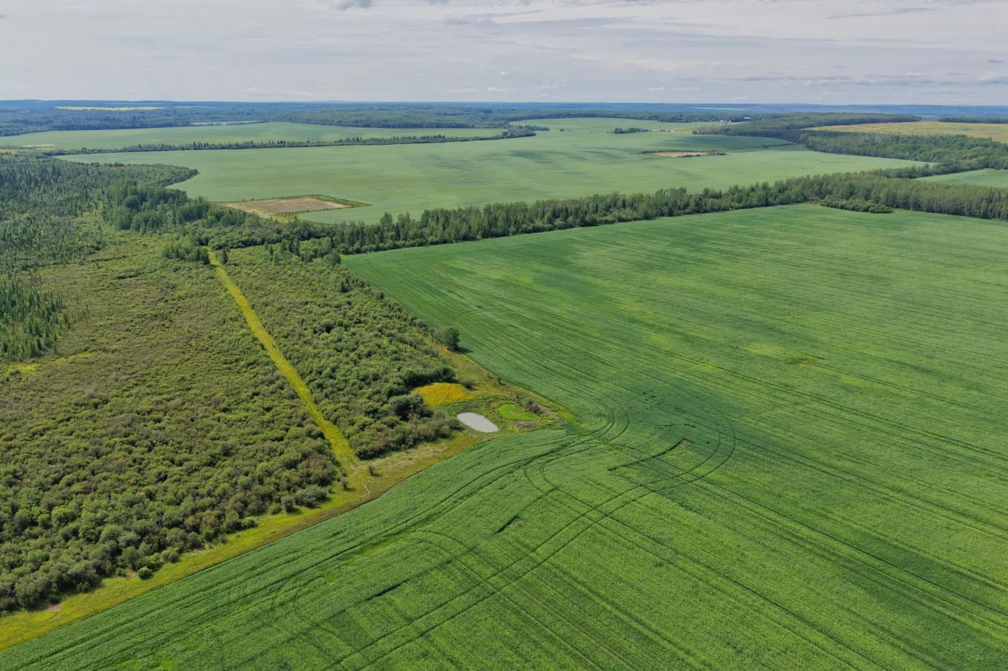 PRESPATOU ROAD, Fort St. John BC V0C 2S0 property perspective
